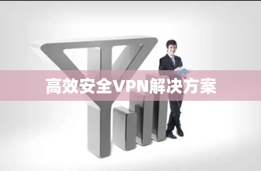 高效安全VPN解决方案 高效安全VPN解决方案
