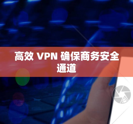 高效 VPN 确保商务安全通道