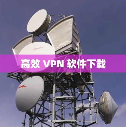 高效 VPN 软件下载