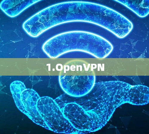 1.OpenVPN