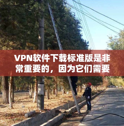 VPN软件下载标准版是非常重要的，因为它们需要经过严格的审核和安全检查。以下是几个知名的VPN软件下载网站，你可以选择其中之一来下载标准版