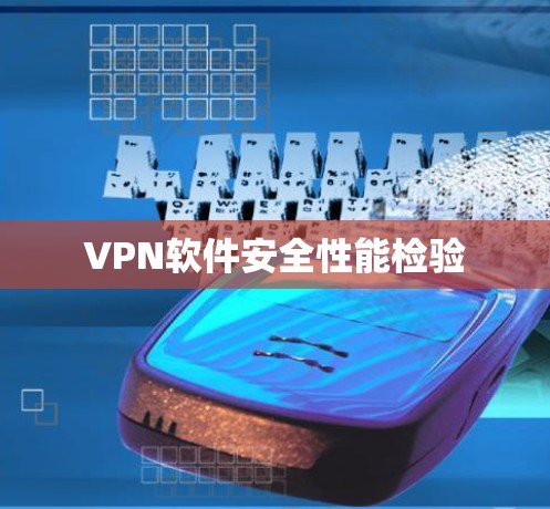 VPN软件安全性能检验